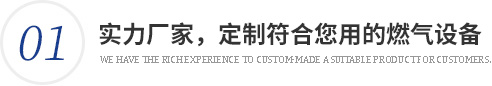 實力廠家，量身定制符合您使用的燃氣設備